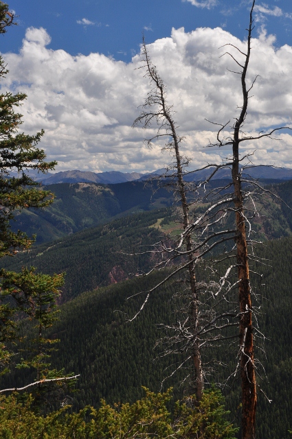 mountain views from Elk Camp
